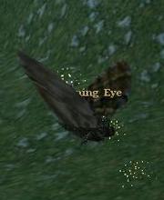 Burning Eye